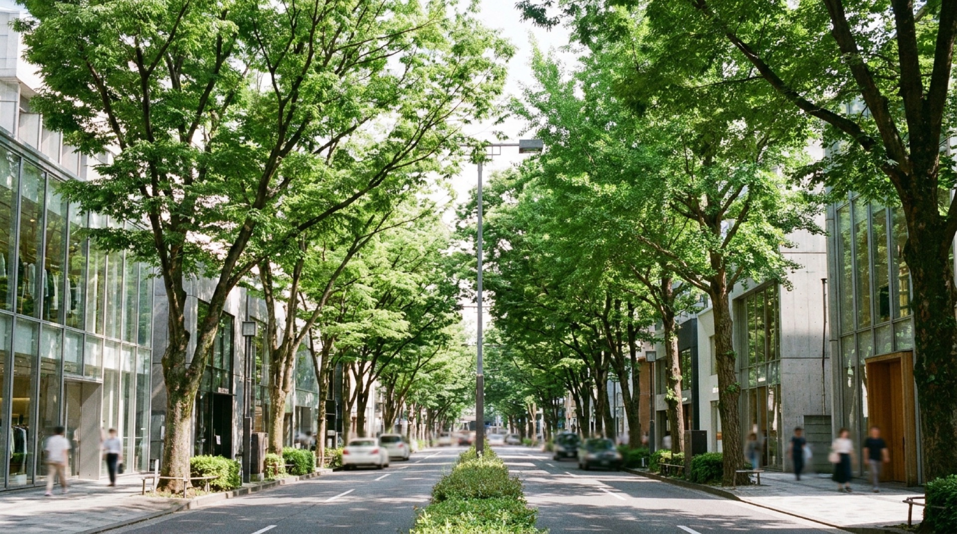 Omotesando avenue tree-lined boulevard