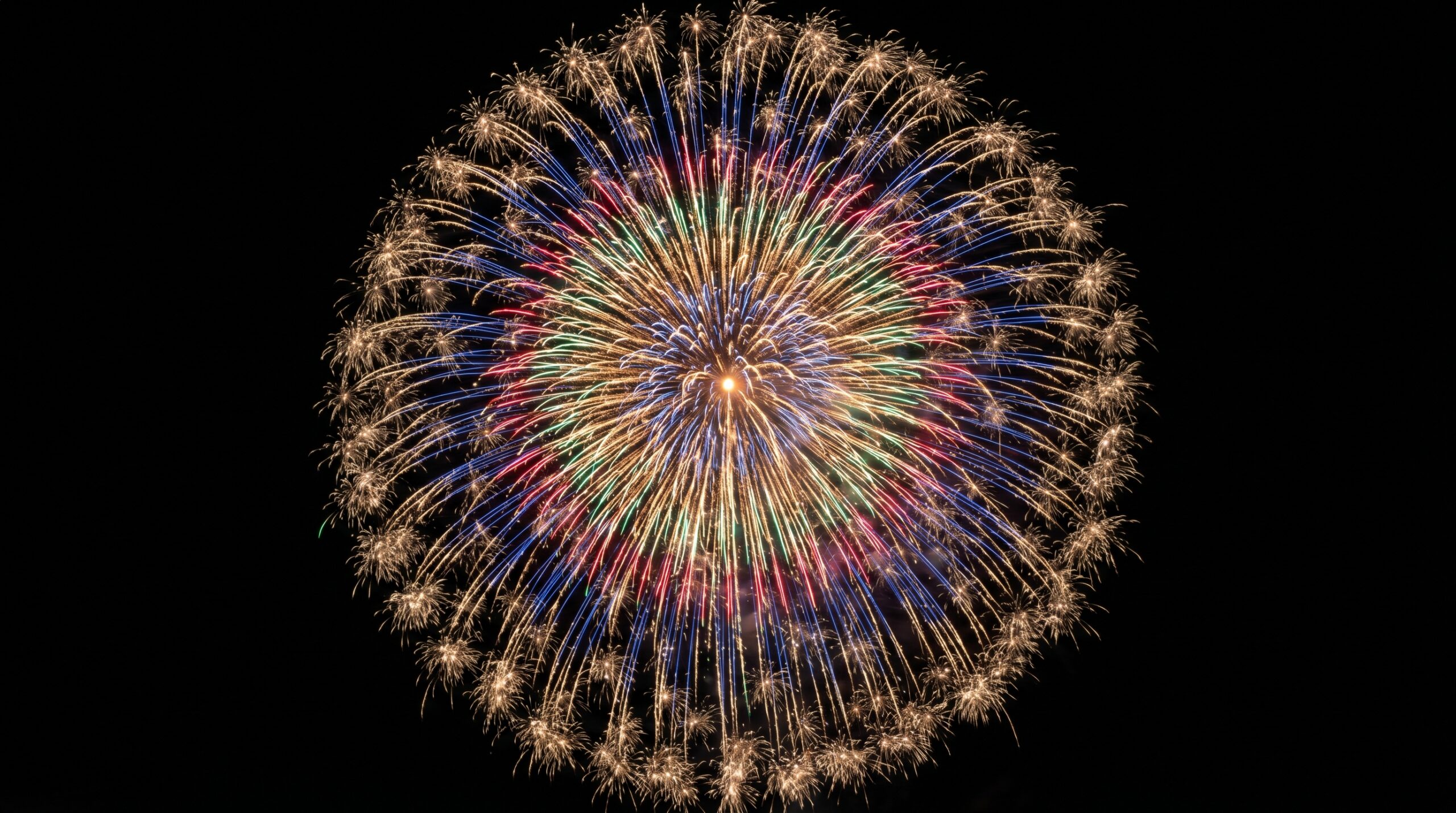 A single large spherical competition firework in a dark sky