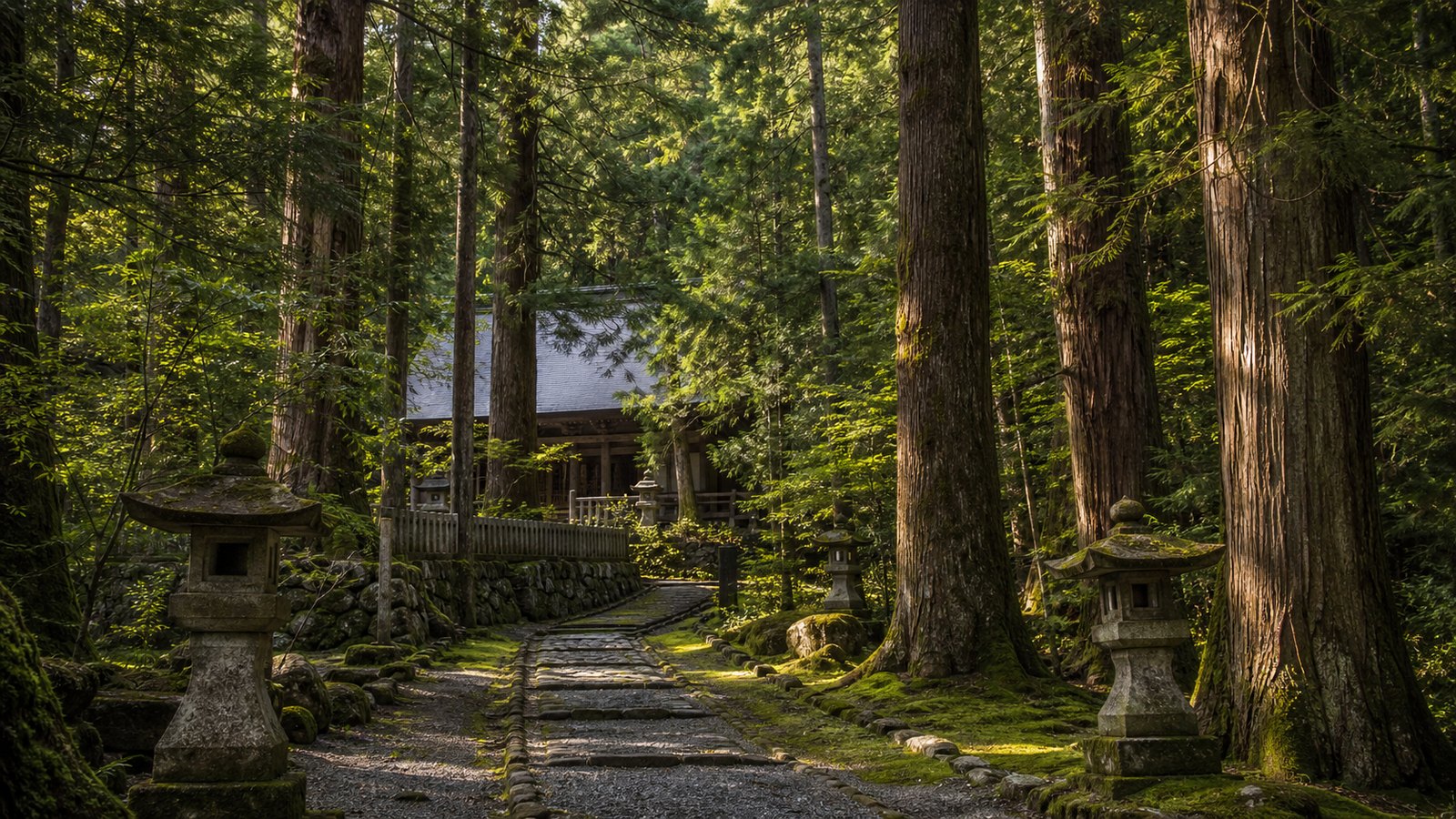 Quiet forest shrine path in the Hida region with stone lanterns and tall trees