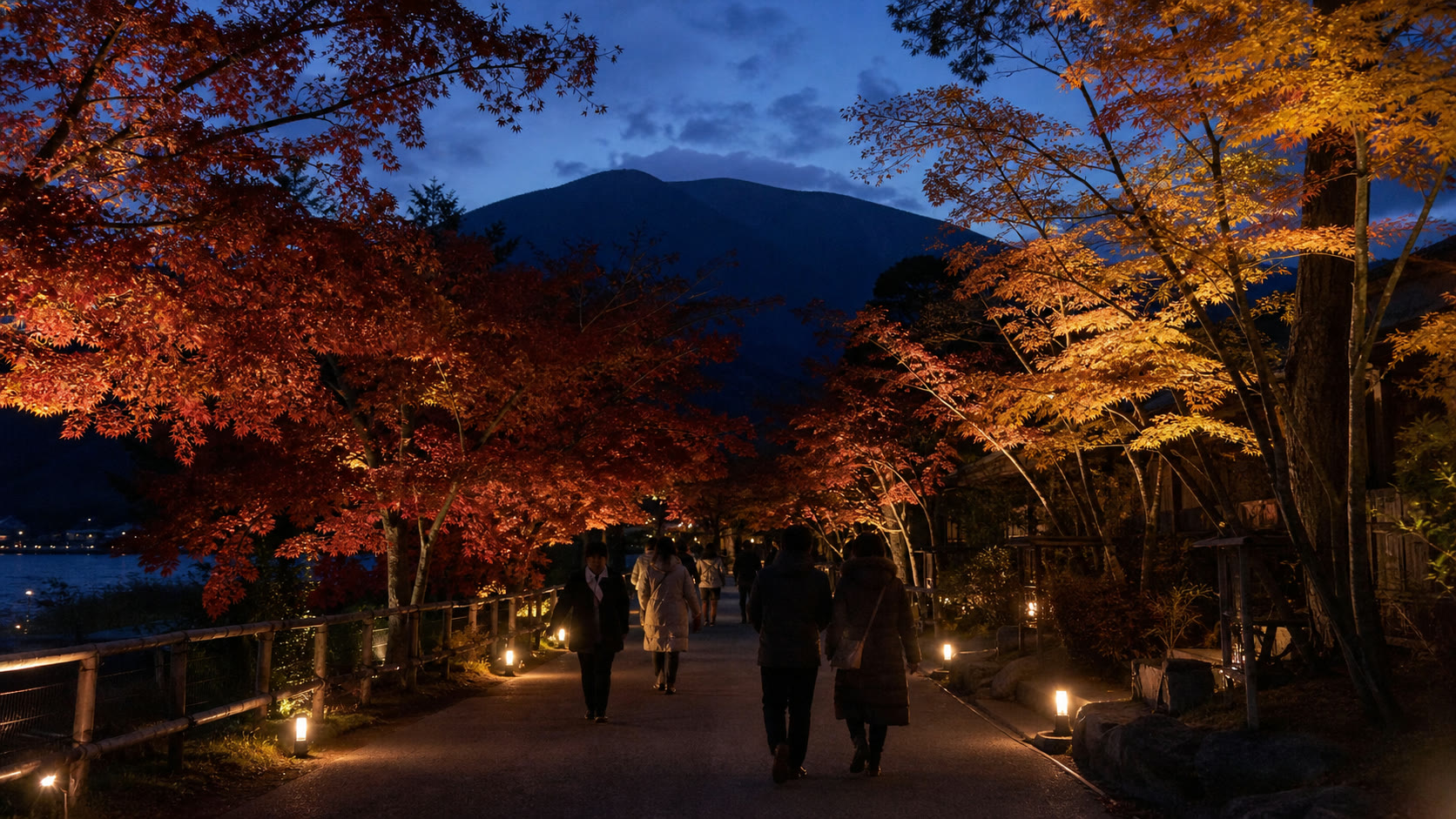 Maple trees illuminated after sunset at Lake Kawaguchiko