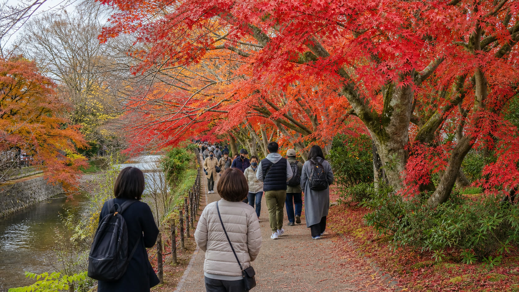 Visitors moving through a busy maple corridor without blocking the path