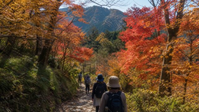 Hikers walking through autumn leaves on Mt. Takao in Tokyo