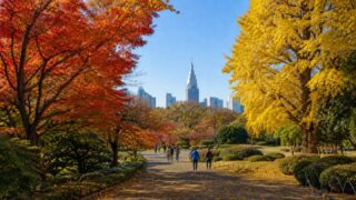 Red maple and golden ginkgo leaves in a Tokyo garden with visitors walking in late autumn