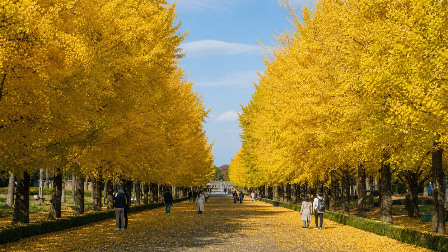 Wide golden ginkgo avenue with visitors at Showa Kinen Park in autumn