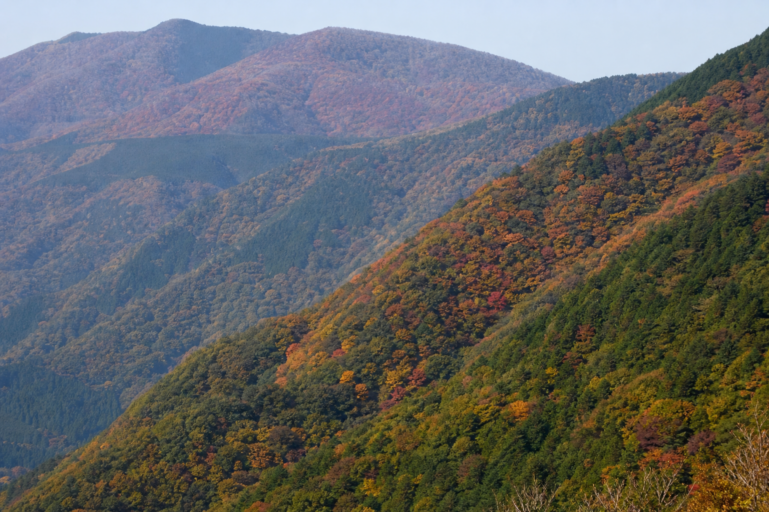 Hakone mountain slopes showing autumn foliage at different elevations