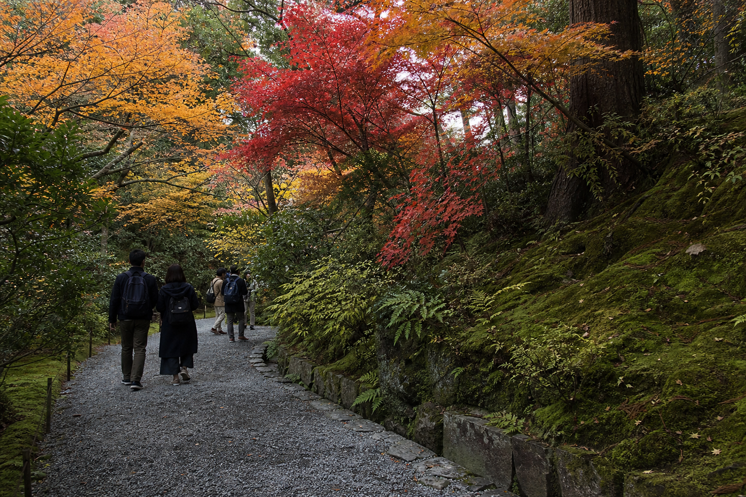 Visitors walking along a red and golden autumn path in the Gora area