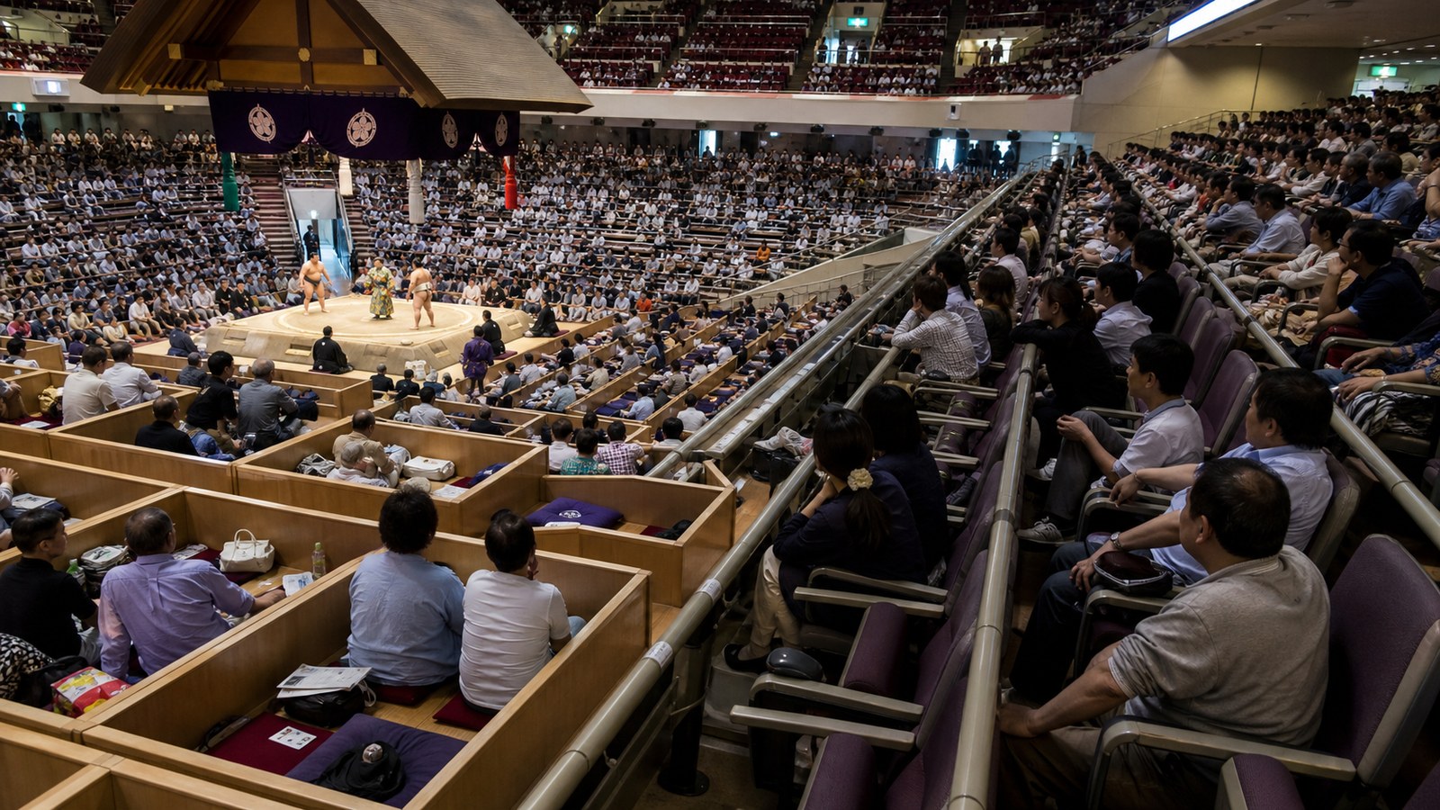 Floor box seats and individual chair seats inside a sumo arena