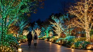 Conceptual jewel-colored illuminated promenade; not the actual park