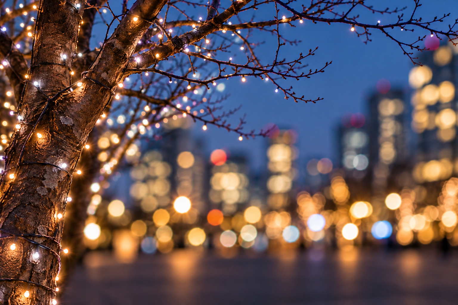 Winter tree branches with decorative lights against a blurred city evening